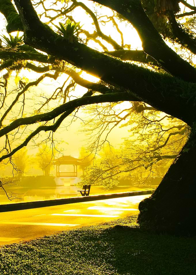 Morning Taiping Lake Garde