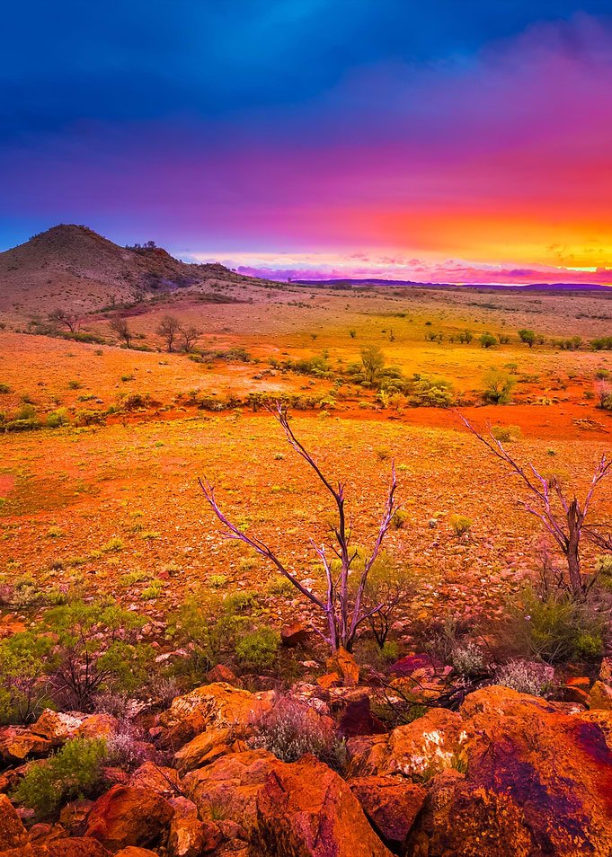 Desert Glory