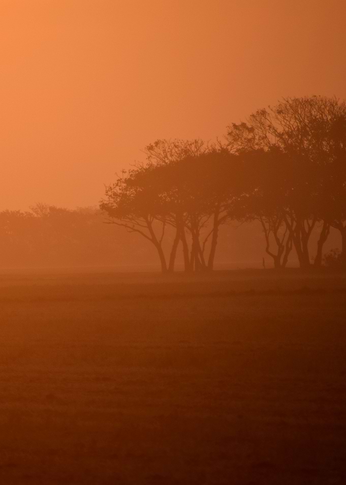 Landscape 11