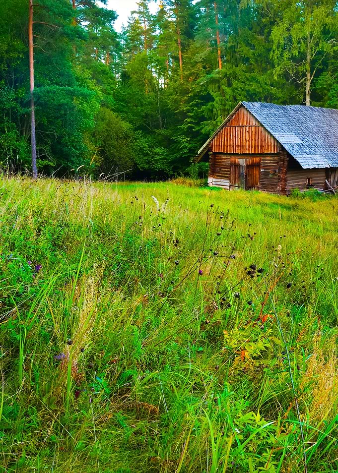 Countryside House In Rural