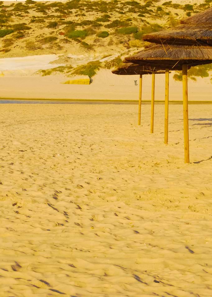 Beach Scene With Coconuts
