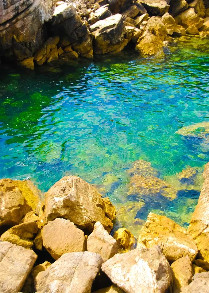 Beautiful Lagoon With Gree