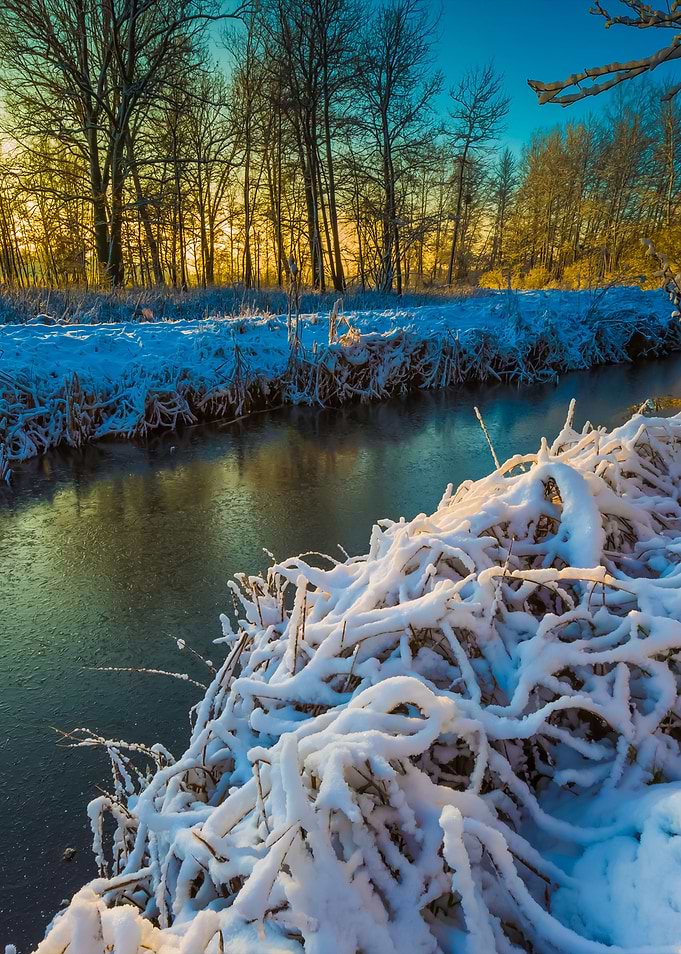 Winter River Landscape