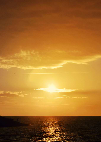 Landscape 2