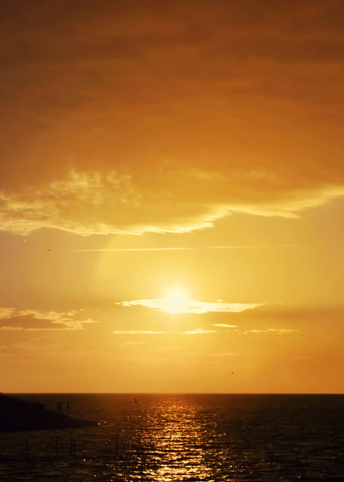 Landscape 2