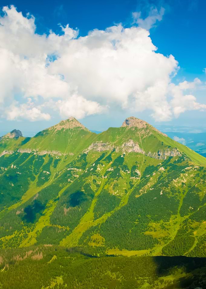 Scenery Of High Green Moun