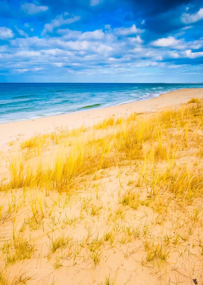 Sea Shore With Grass Beaut