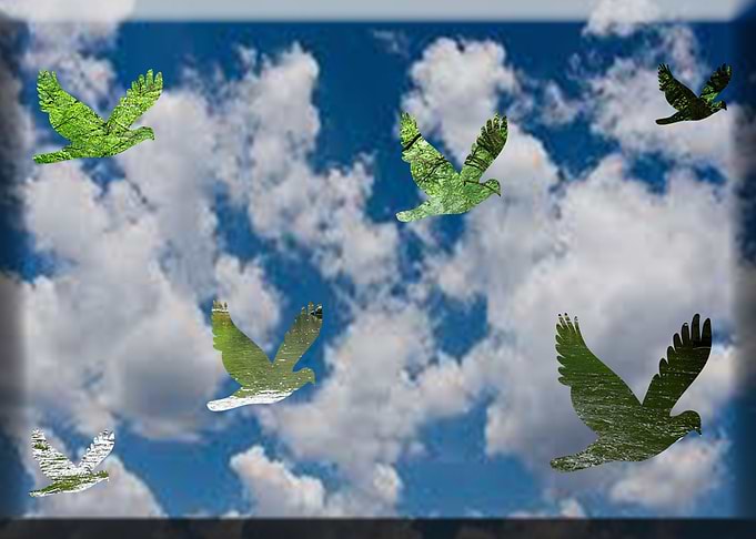 Nature inside birds