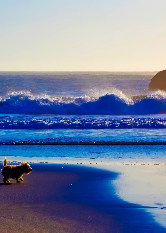 Stunning Backgrounds