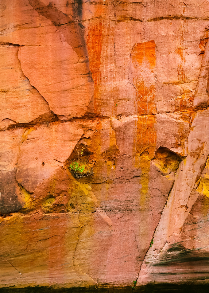 Sandstone Cliffs In Gauja