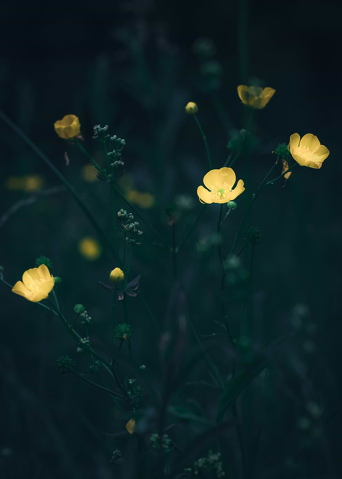 Light and Night