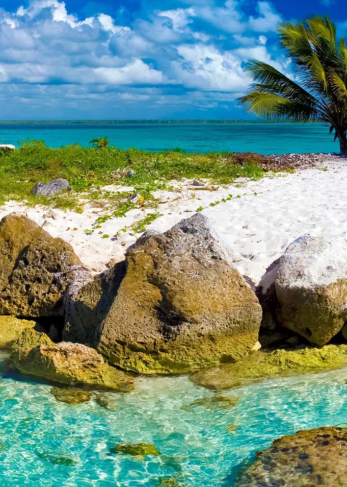 Stunning Backgrounds