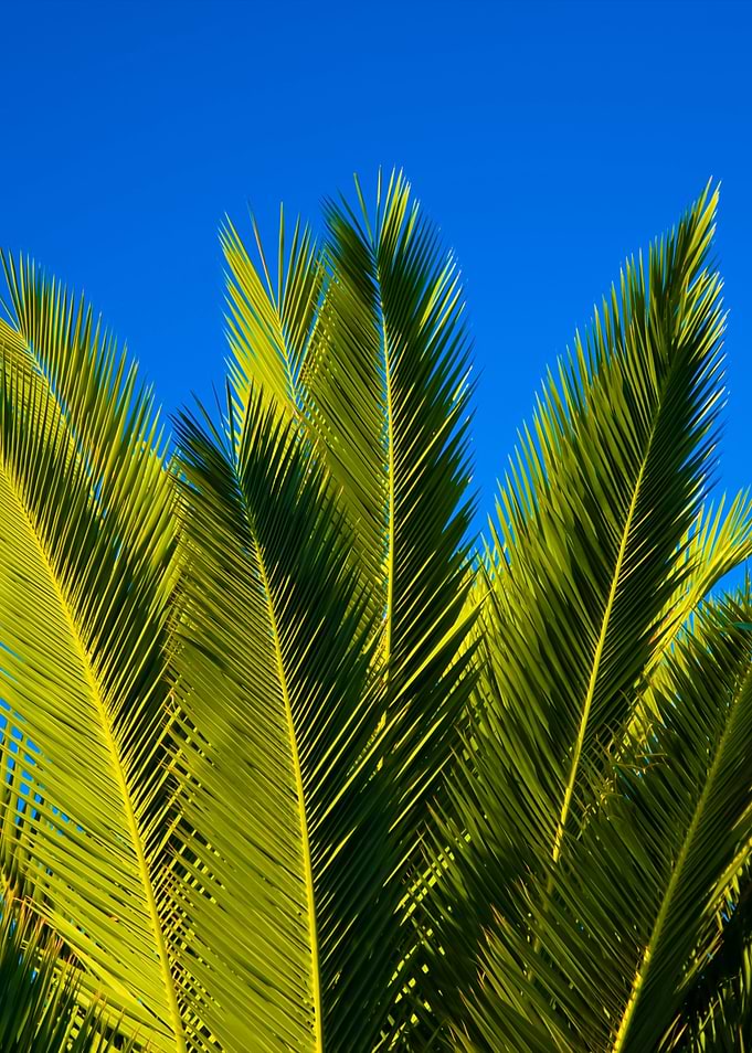 Madeira
