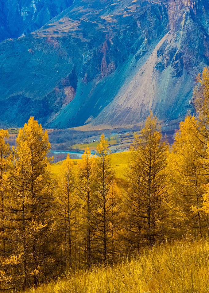 Stunning Backgrounds