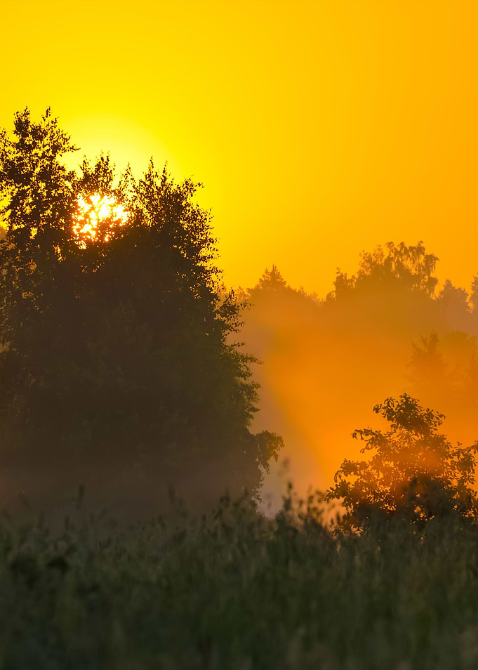 Sun And Morning Fog Above