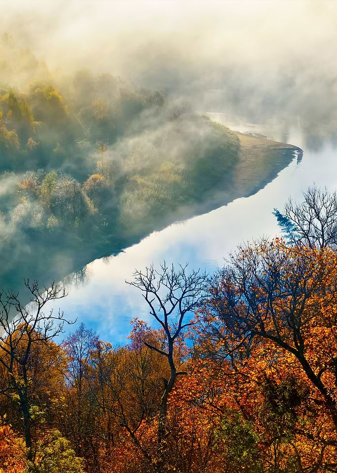 Colorful Forest Hills Cove