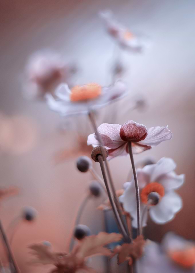 Summer impression