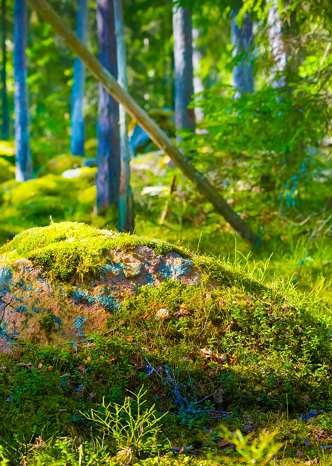 Stunning Backgrounds