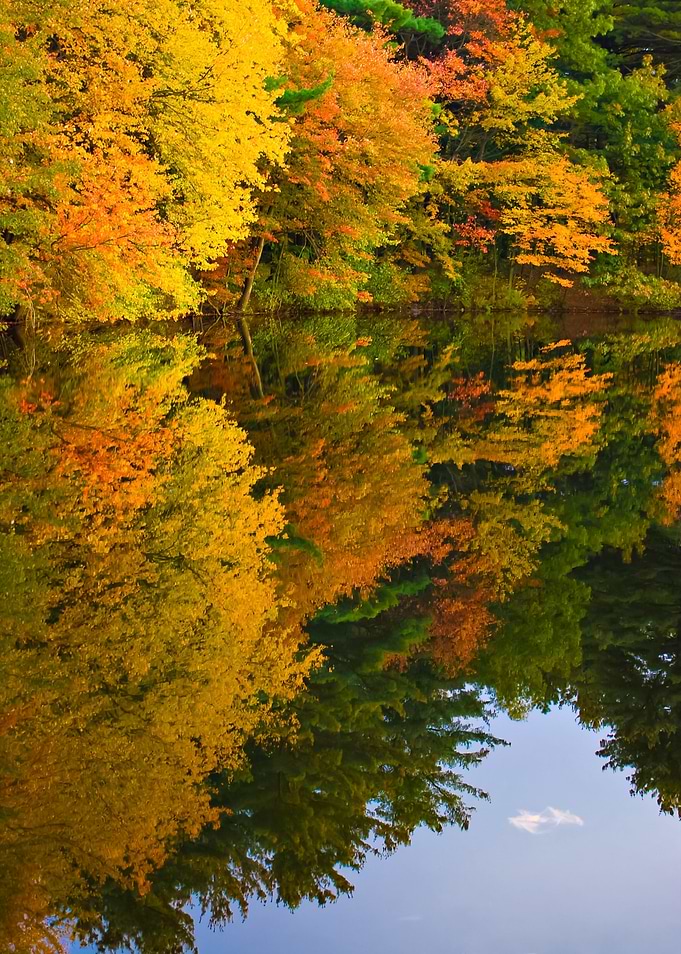 Connecticut Autumn Foliage