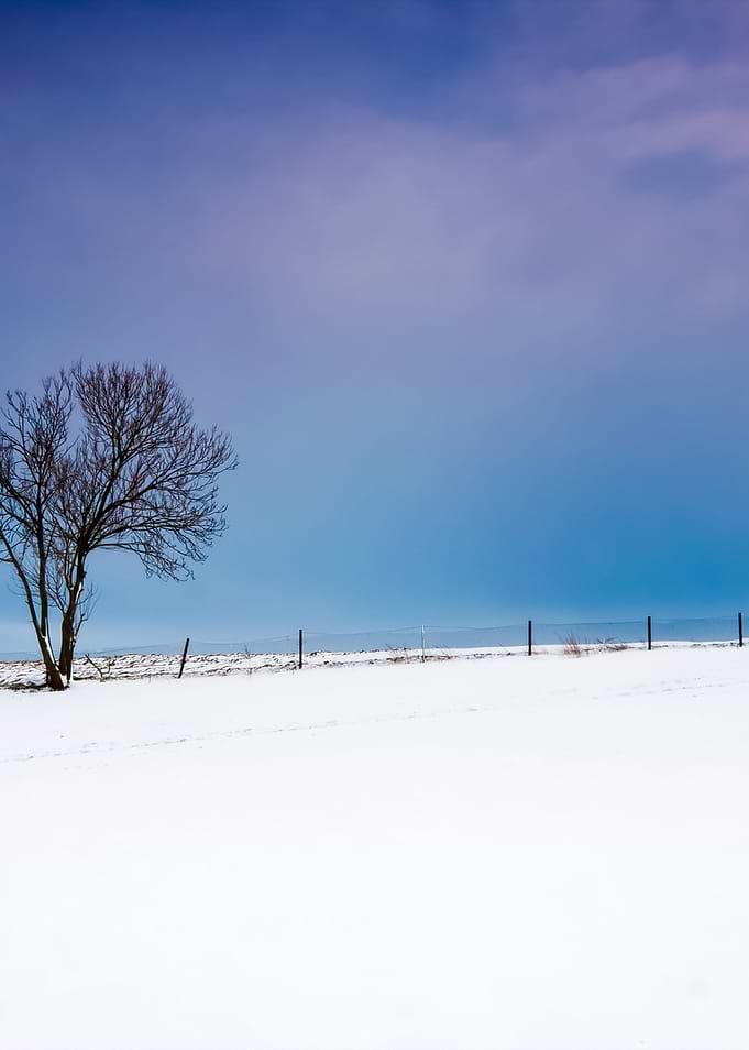 Winter Field Sunset