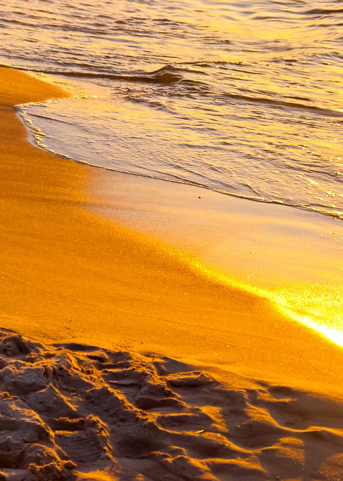 Beach In The Evening