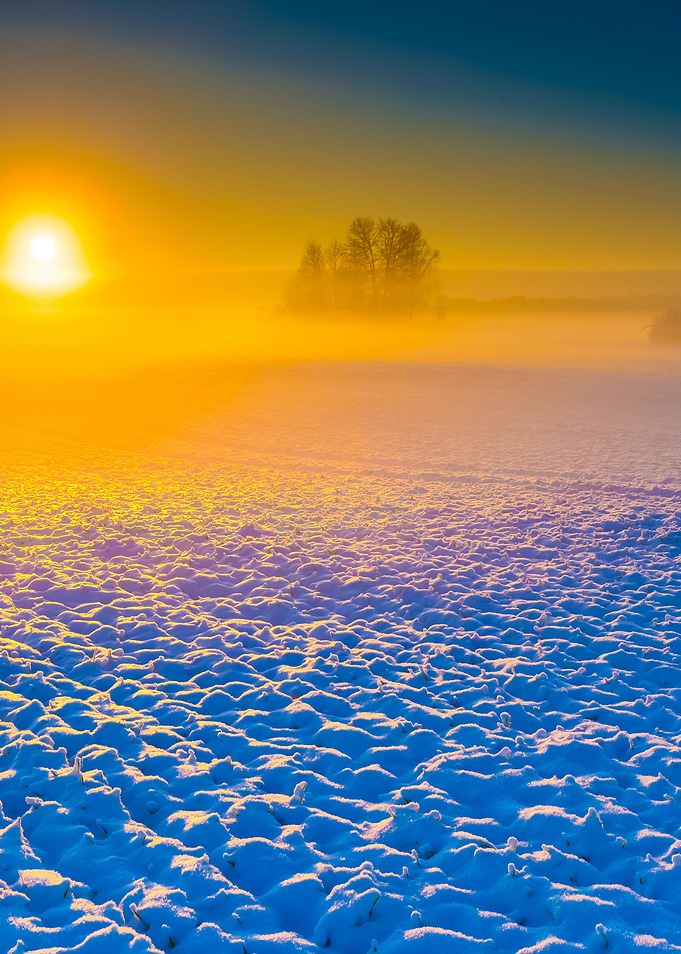 Beautiful Winter Field Lan