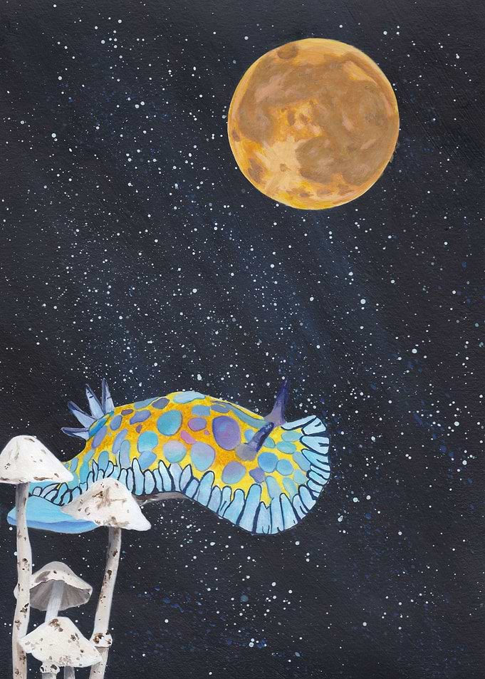 Galactic Goniobranchus