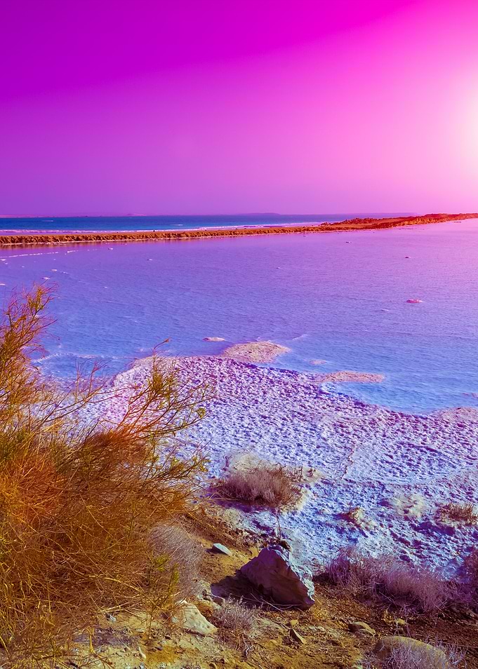 Dead Sea Salty Shore At Su