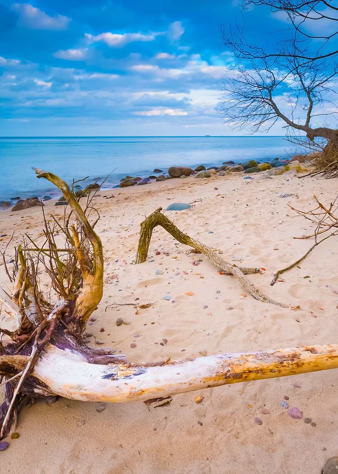 Rocky Sea Shore With Drift