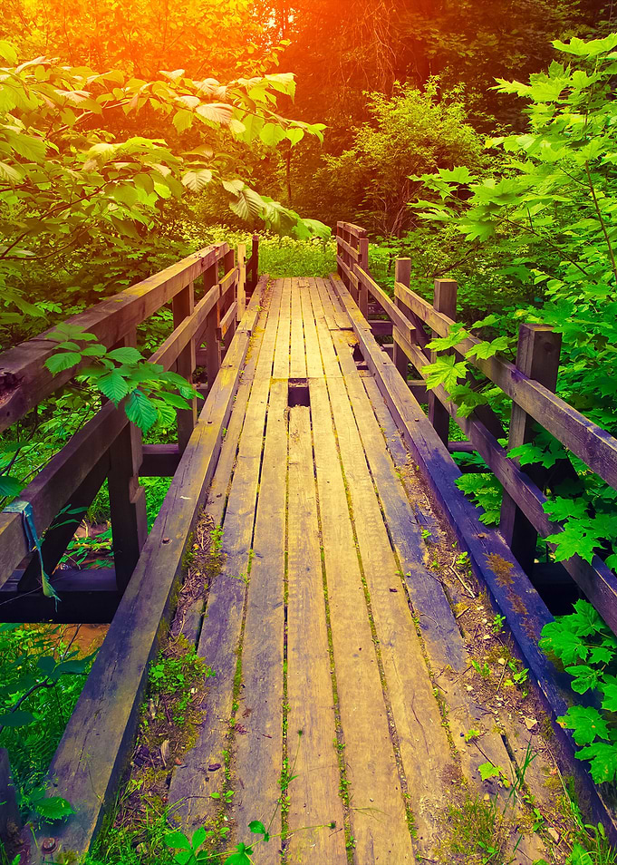 Old Broken Wooden Bridge