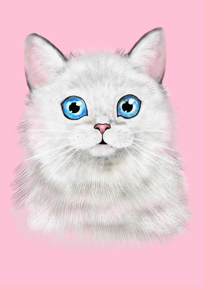 CUTEST CAT EVER