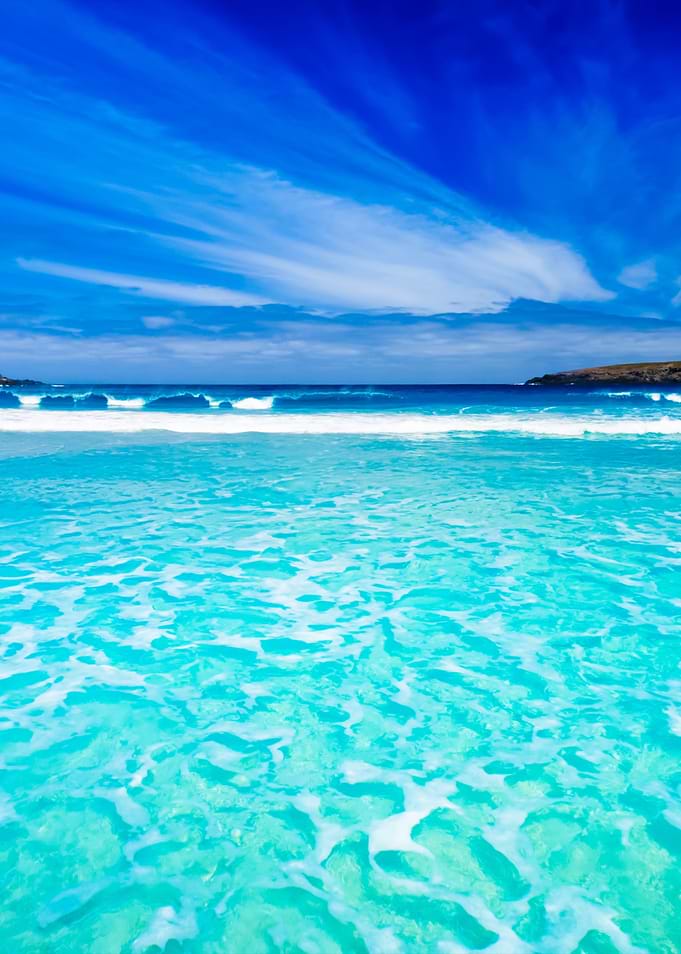 Aqua Paradise