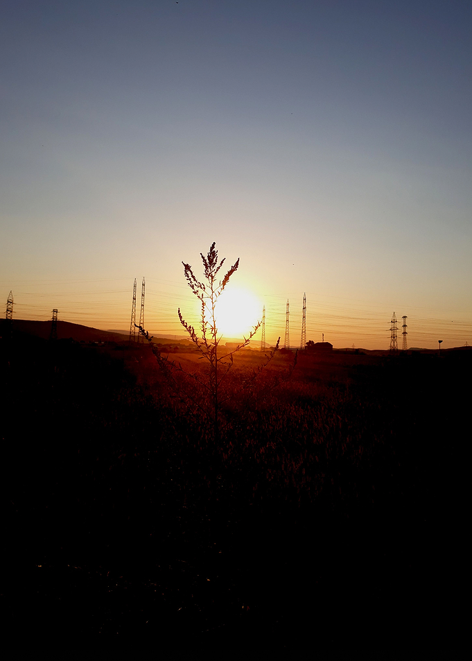 Sunset silence