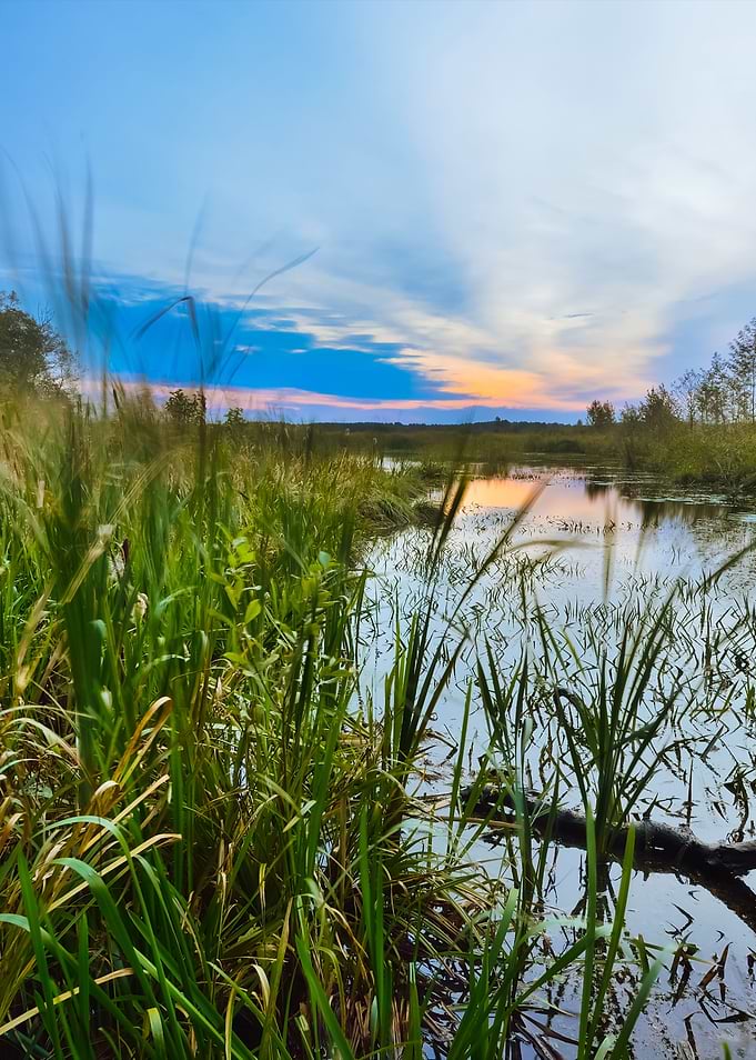 River Landscape