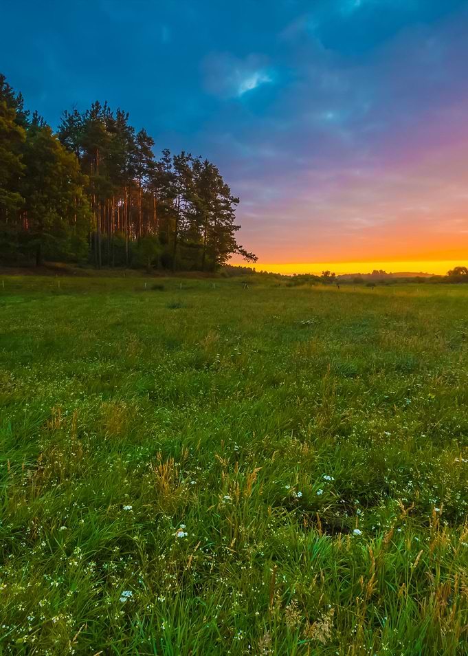 Cloudy Sunrise Over Meadow