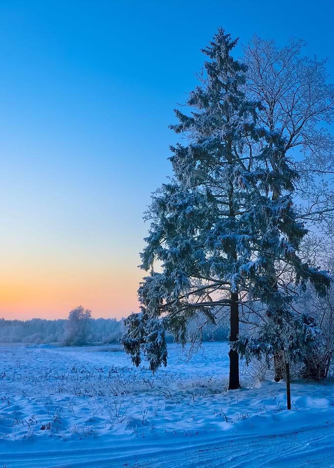 Winter Countryside View