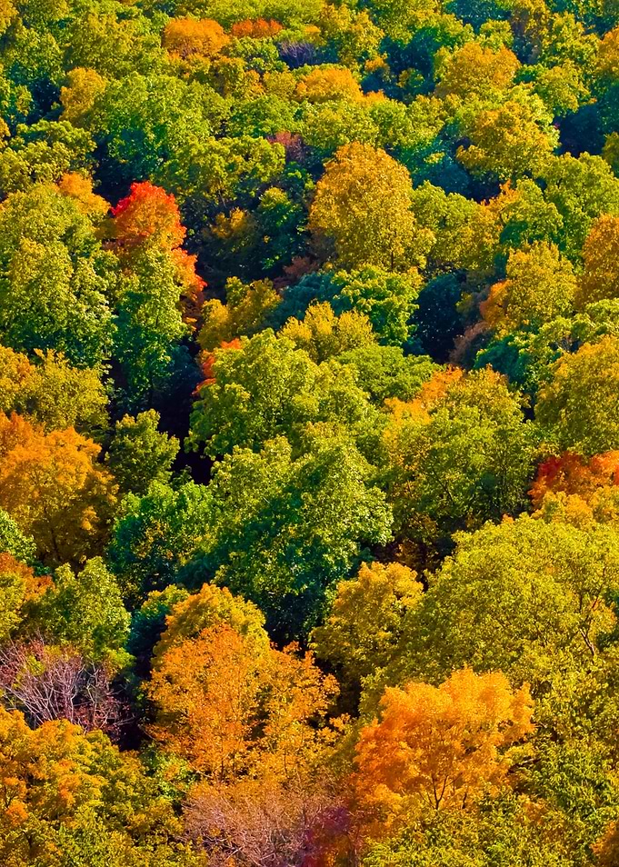 New England Fall Foliage