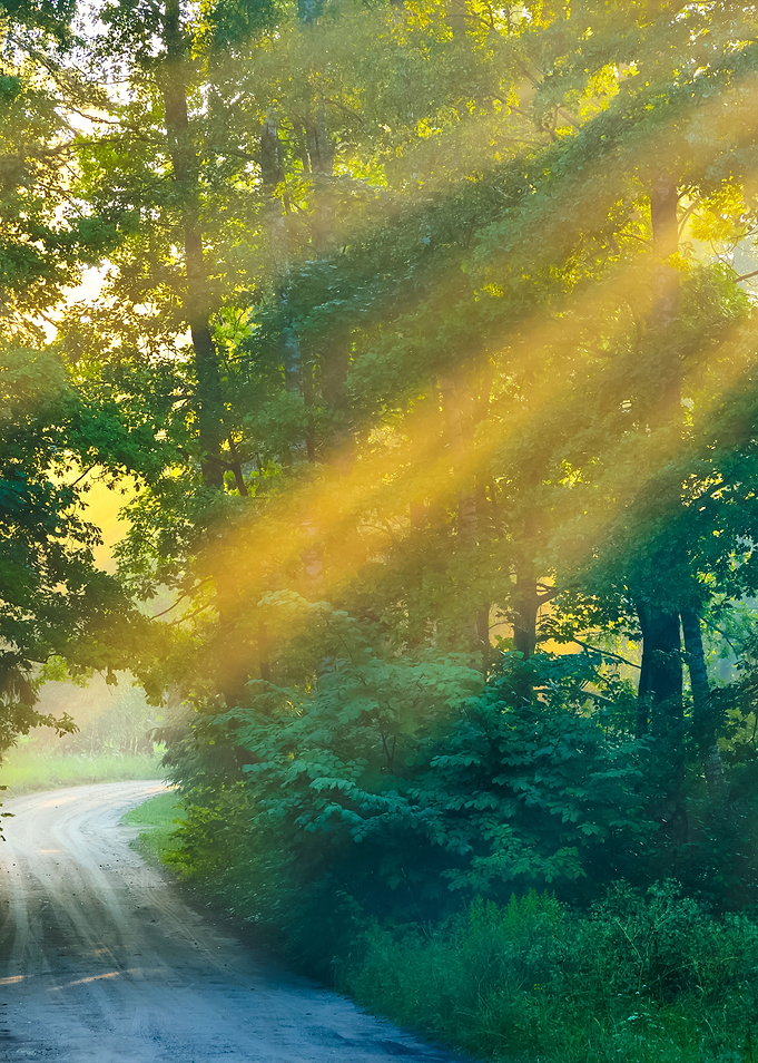 Road And Sunbeams In Stron