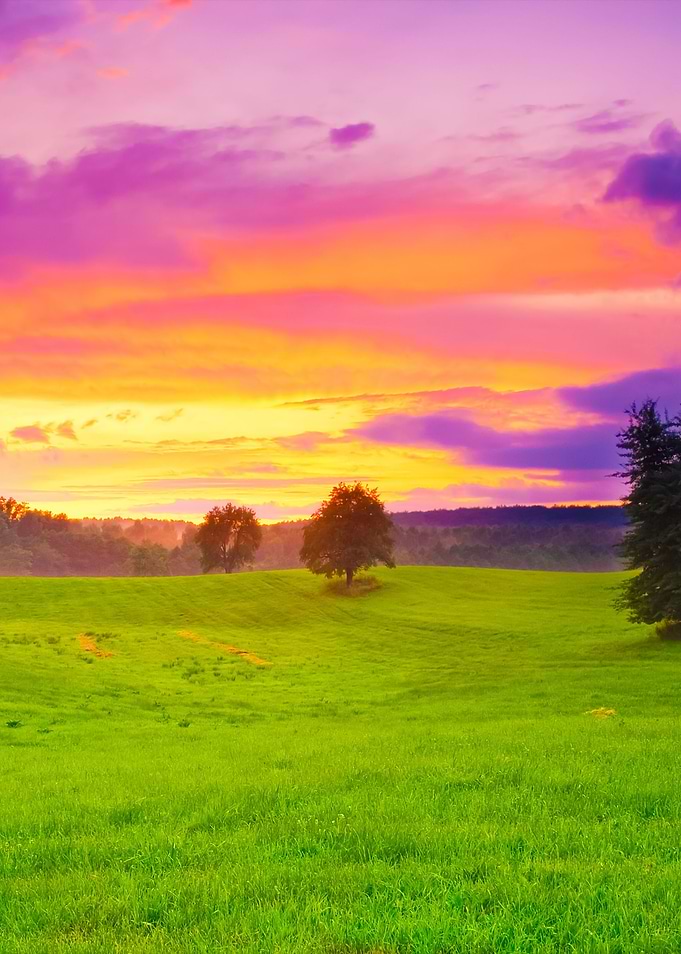 Sunset Landscape