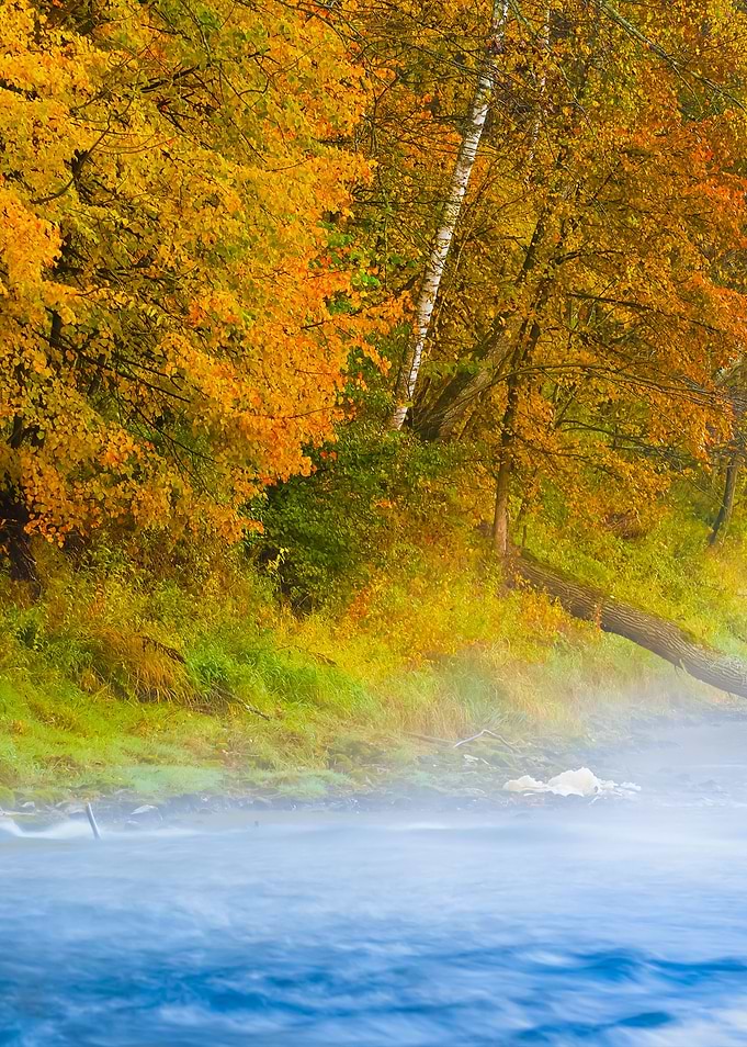 Autumn Gauja River In Sigu