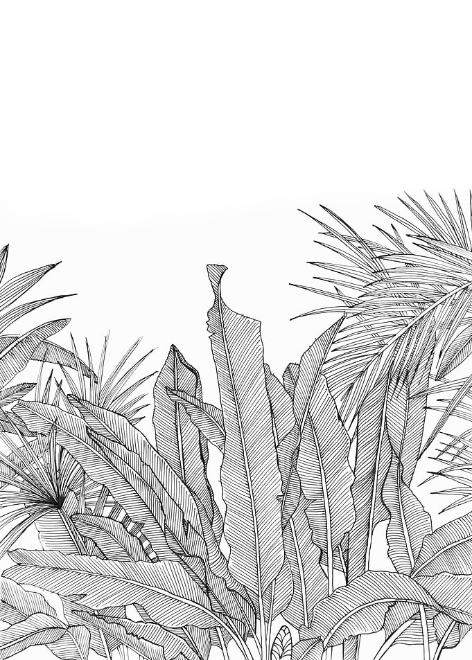 Line drawing black pen