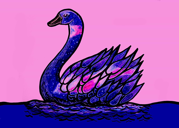 Boreal swan