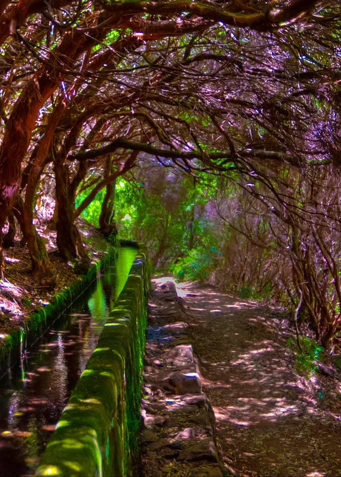 Madeira