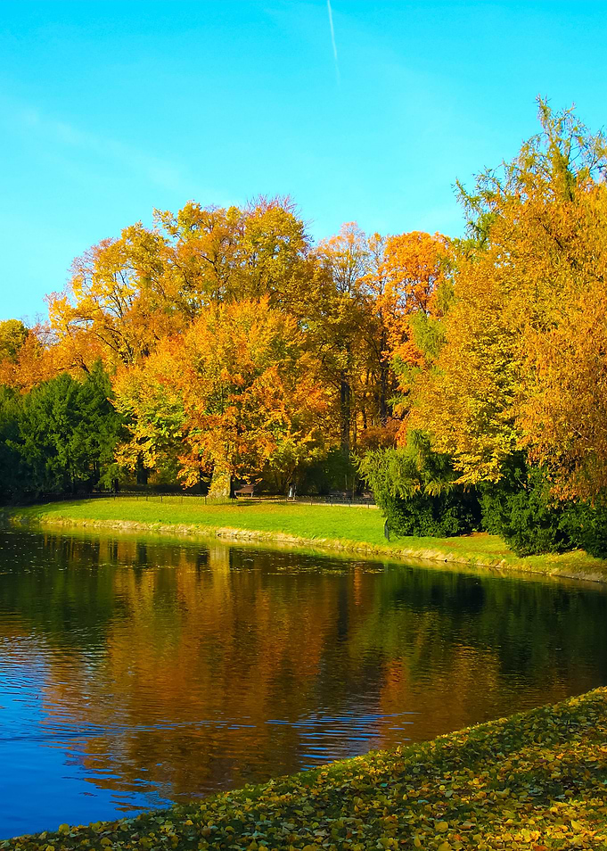 Autumn