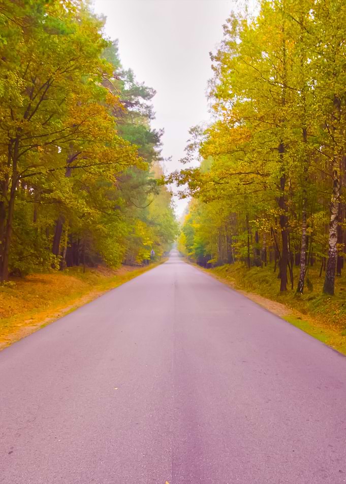 Asphalt Road In Landscape