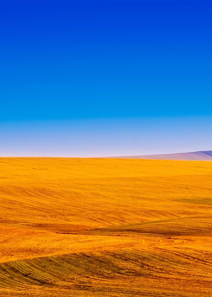 Stunning Backgrounds
