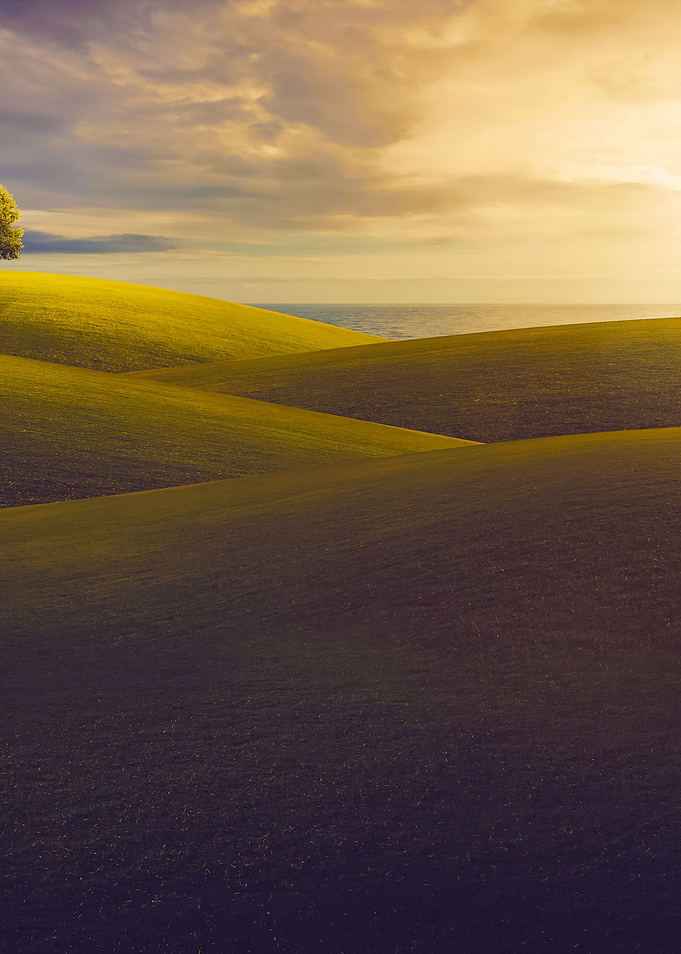Single Tree With Hills