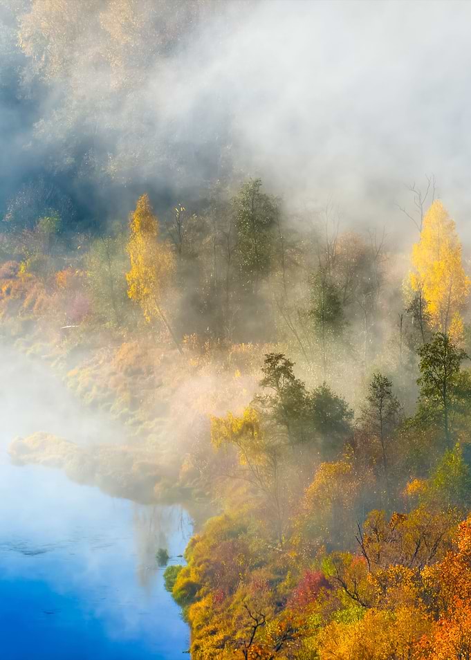 Colorful Forest Hills Cove