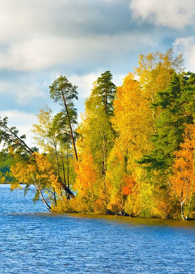 Lake Landscape During Fall