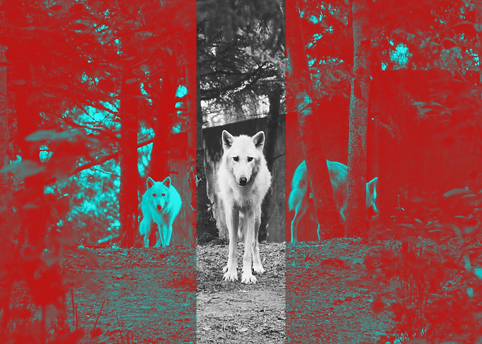 Steps in Red